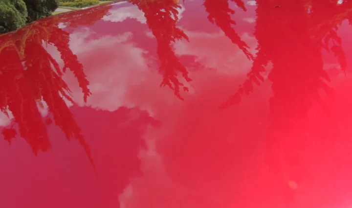 Cómo preparar el color Rojo Diamante de Mazda 46v