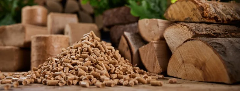 ¿Cómo se produce la energía biomasa y cuáles son sus beneficios?